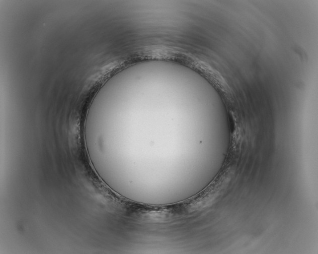 X0000111920306200908101227