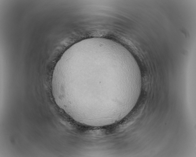 X0000111920307200908101227