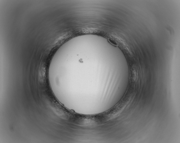 X0000111920308200908101227