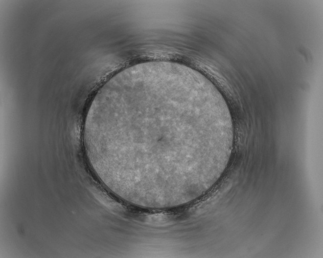 X0000111920309200908101227