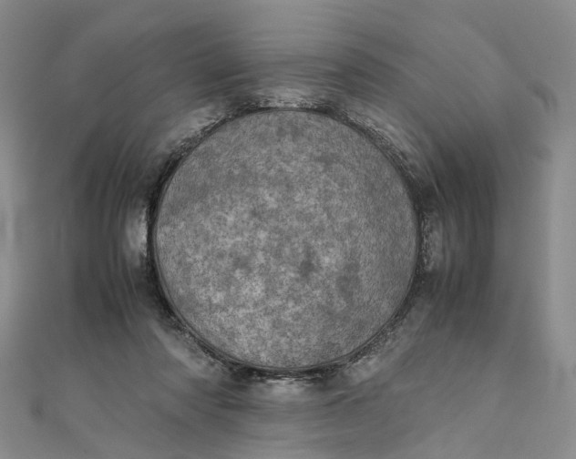 X0000111920310200908101227