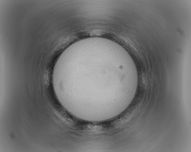 X0000111920311200908101226