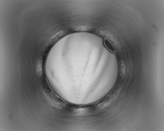 X0000111920312200908101226