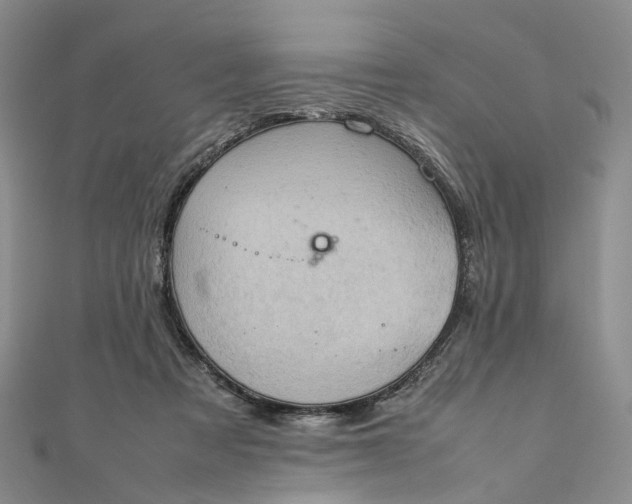 X0000111920313200908101226