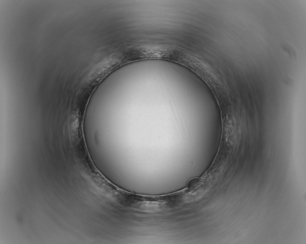 X0000111920314200908101226