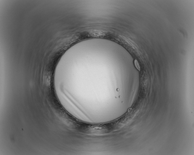 X0000111920315200908101226