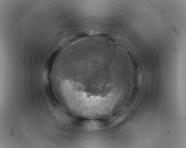 X0000111920316200908101226