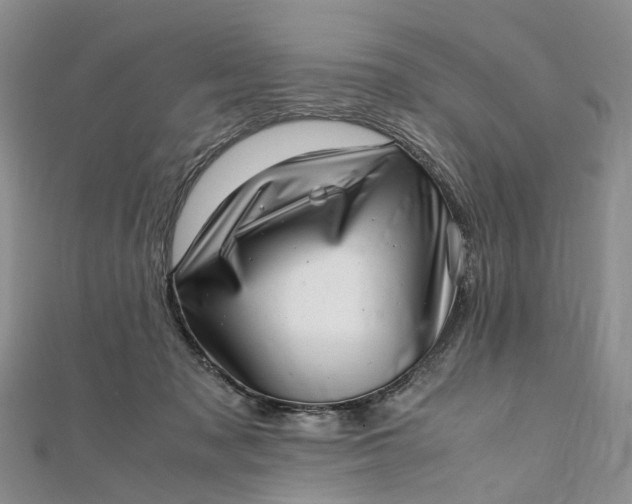 X0000111920317200908101226