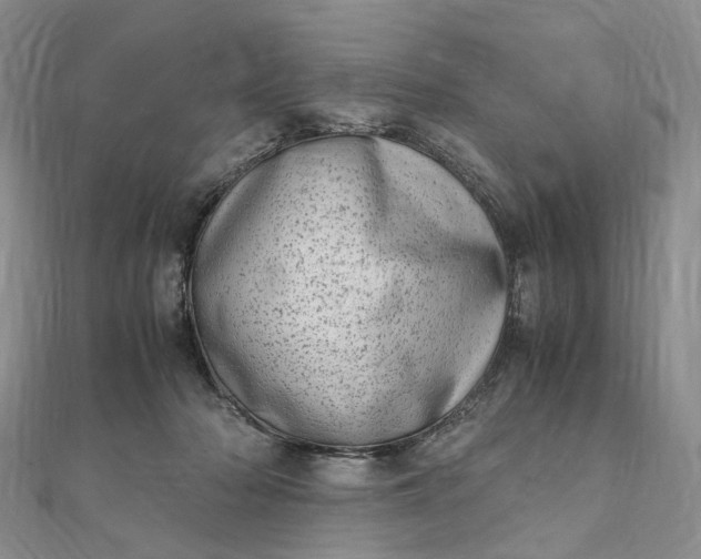 X0000111920318200908101226