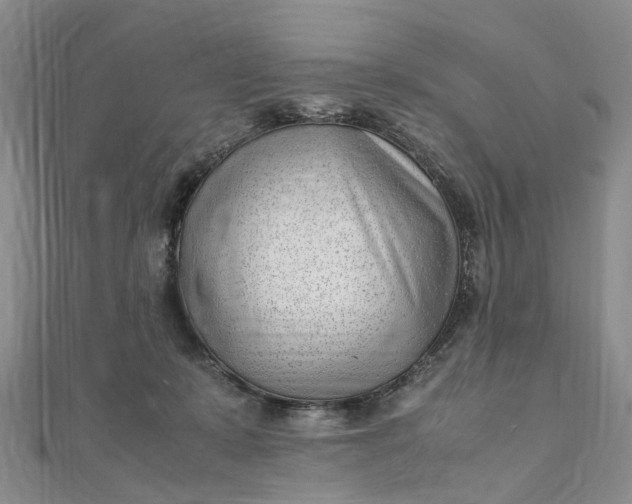 X0000111920319200908101226