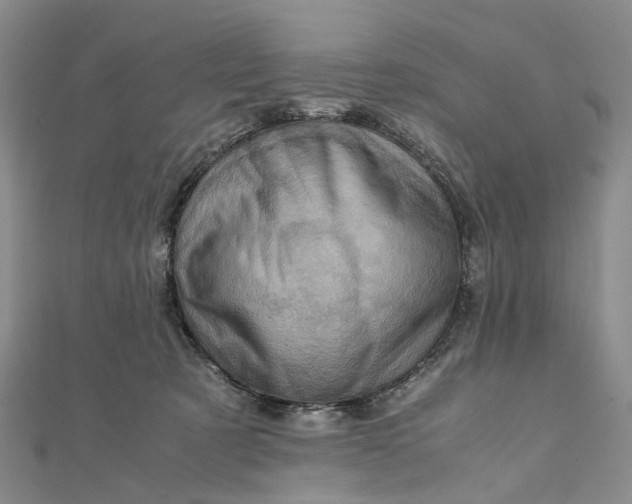 X0000111920321200908101226