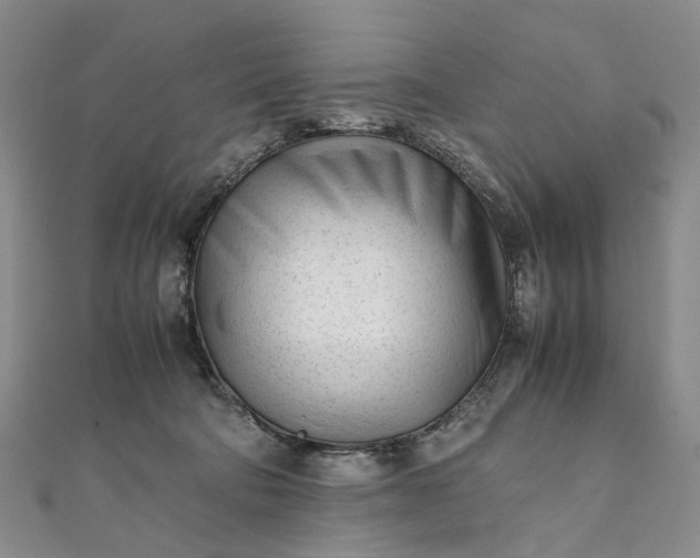 X0000111920322200908101226