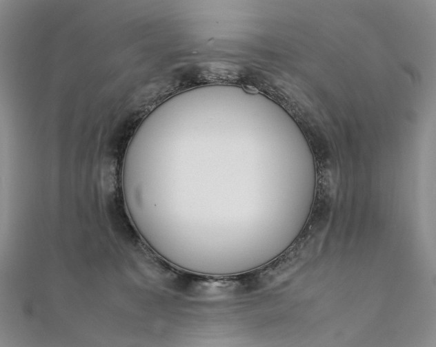 X0000111920323200908101226