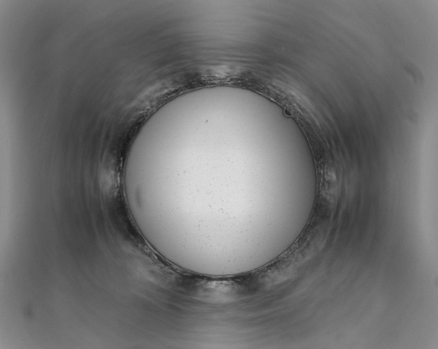 X0000111920324200908101226