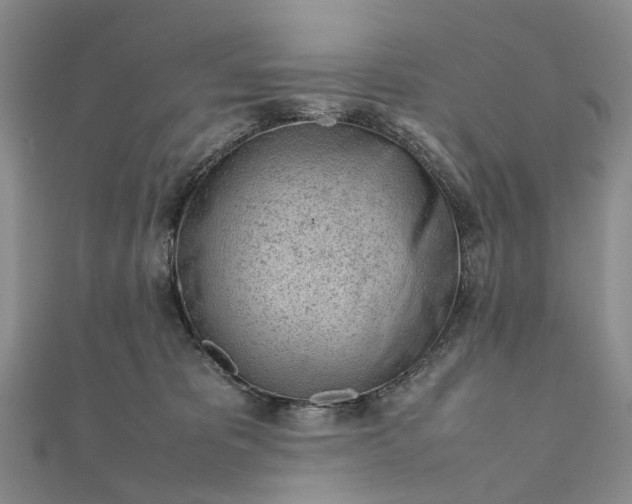 X0000111920325200908101226