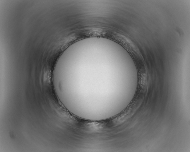 X0000111920326200908101226