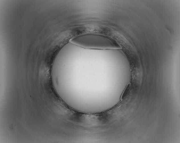 X0000111920327200908101226