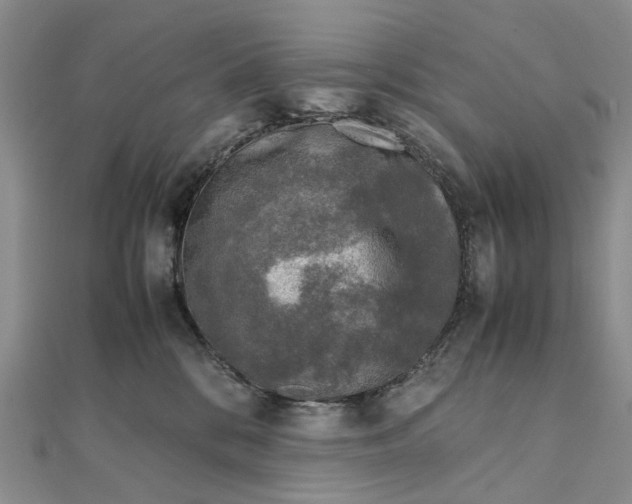 X0000111920328200908101226