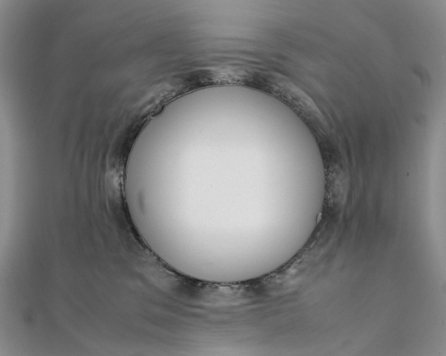 X0000111920329200908101226