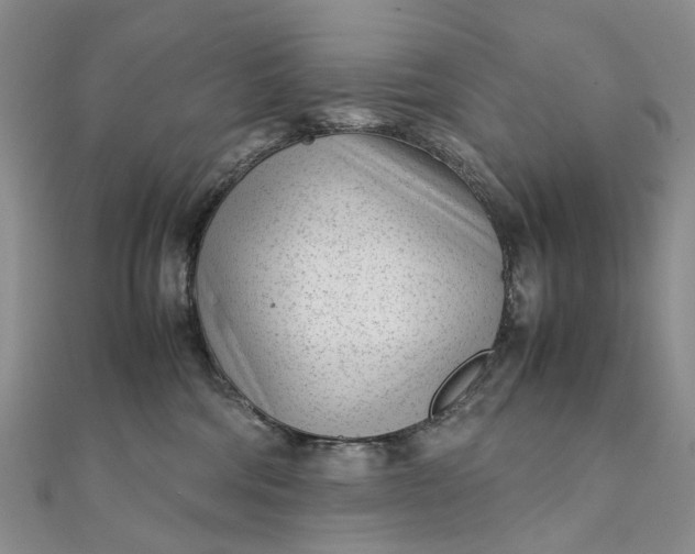 X0000111920330200908101226