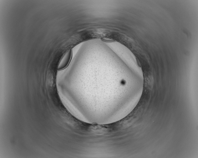 X0000111920331200908101226