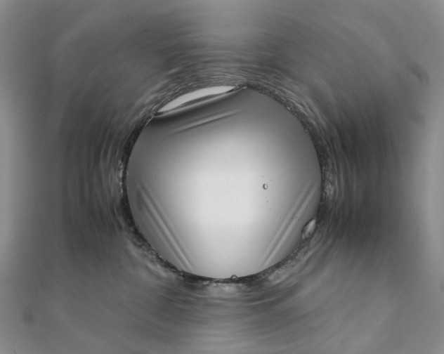 X0000111920332200908101226