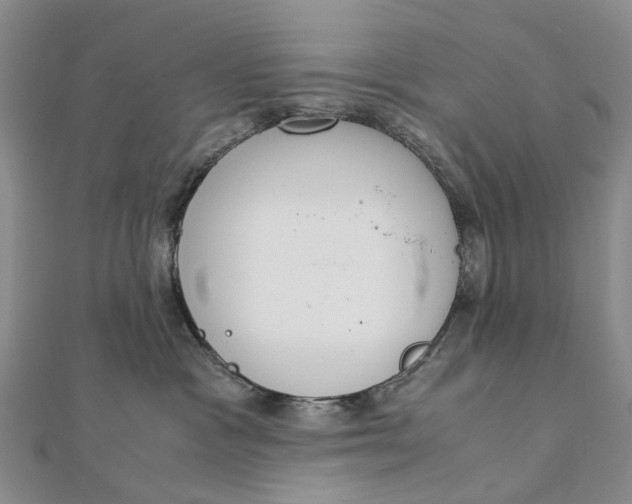 X0000111920333200908101226