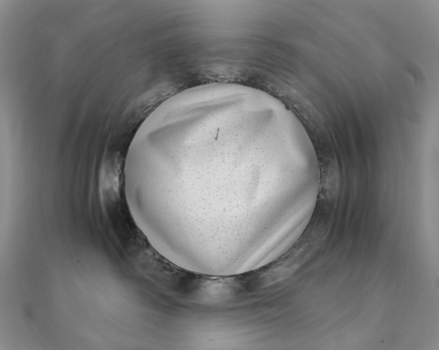 X0000111920334200908101226