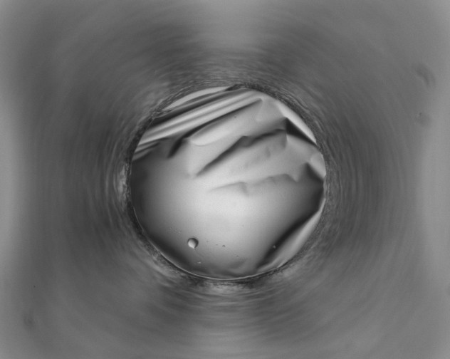 X0000111920336200908101226