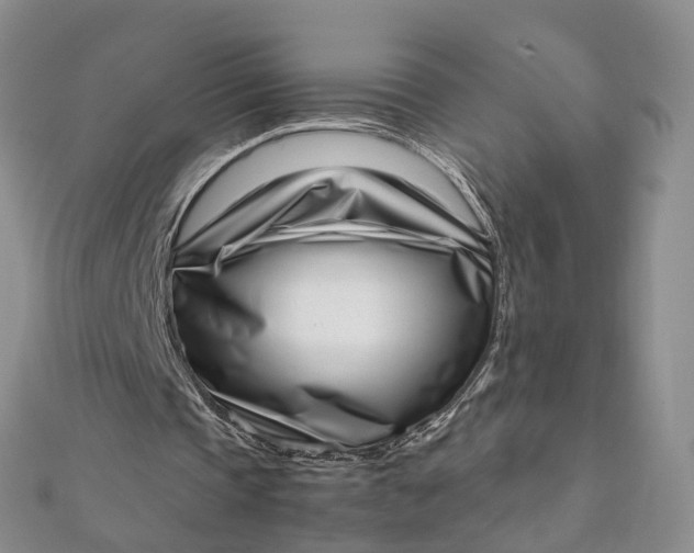 X0000111920337200908101226