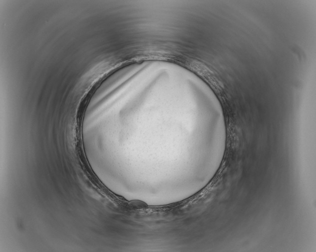 X0000111920338200908101226