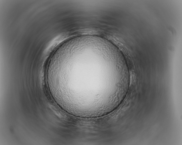 X0000111920339200908101226