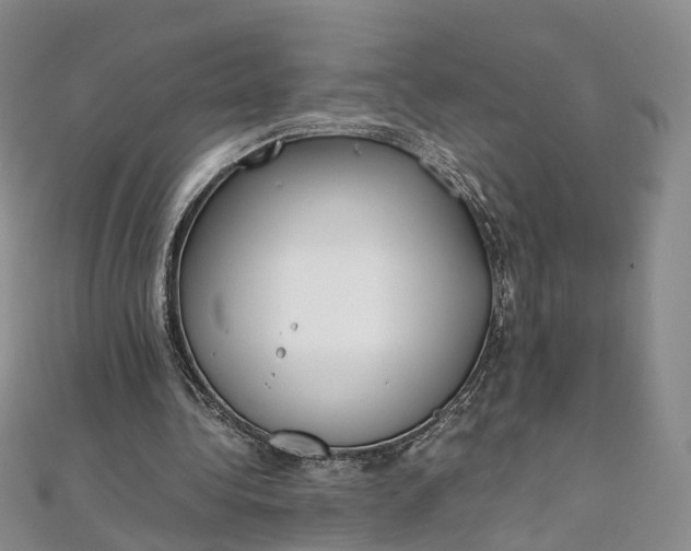 X0000111920340200908101226