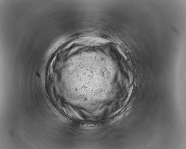 X0000111920341200908101226