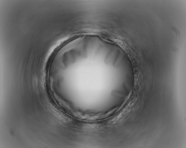 X0000111920342200908101226