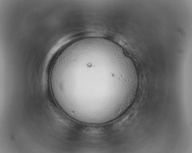 X0000111920343200908101226