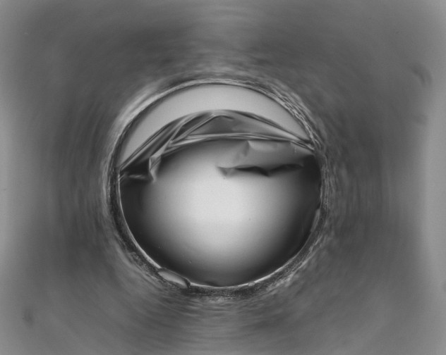 X0000111920344200908101226