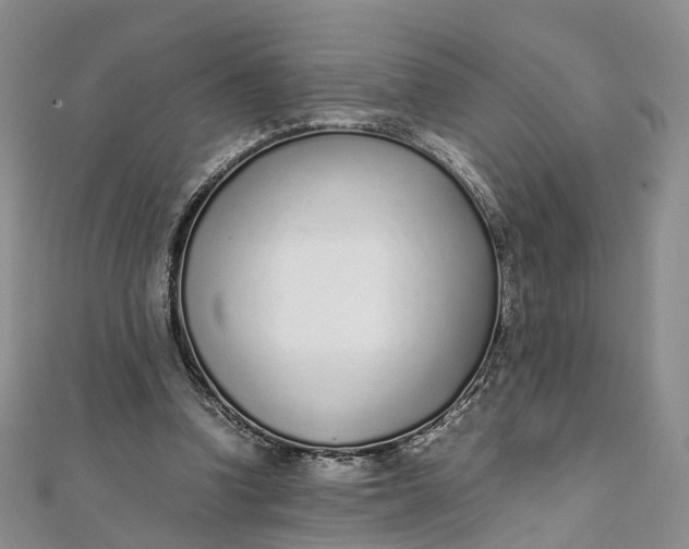 X0000111920346200908101226