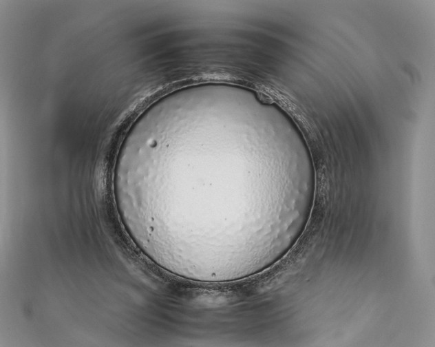 X0000111920347200908101226