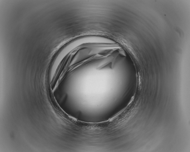 X0000111920348200908101226