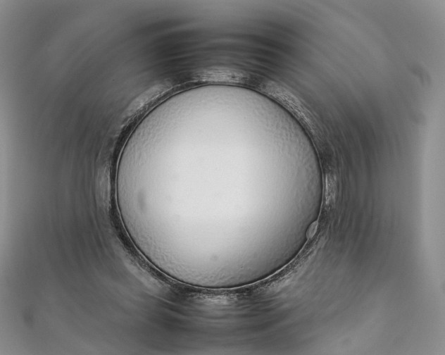 X0000111920349200908101226