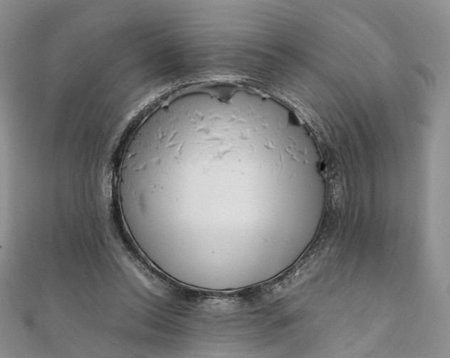 X0000111920350200908101226