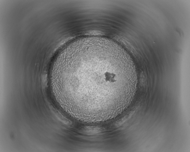 X0000111920351200908101226