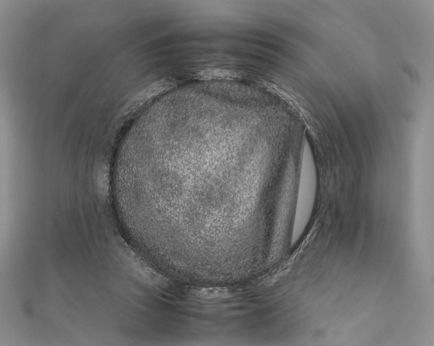 X0000111920353200908101226