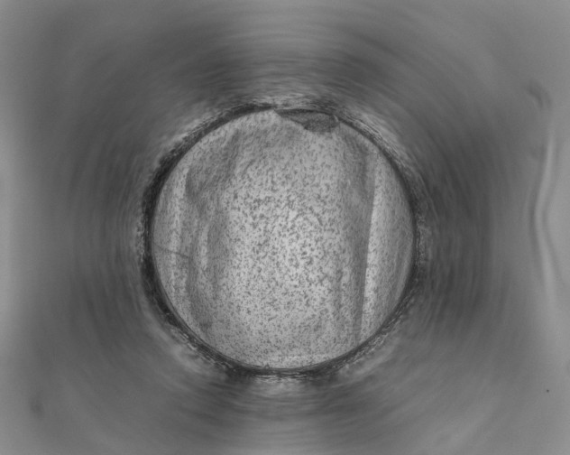 X0000111920354200908101226