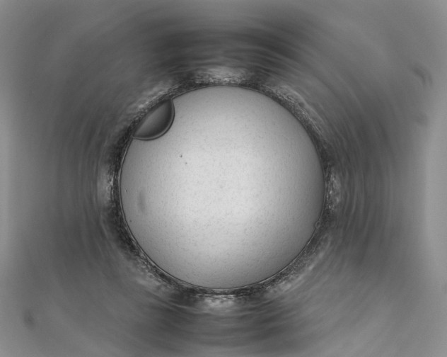 X0000111920355200908101226