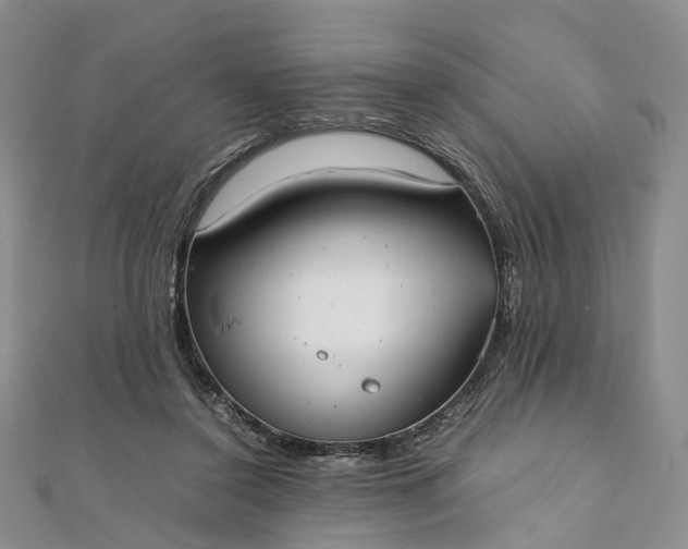 X0000111920356200908101226