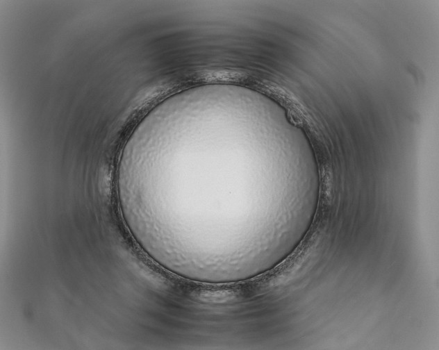 X0000111920357200908101226