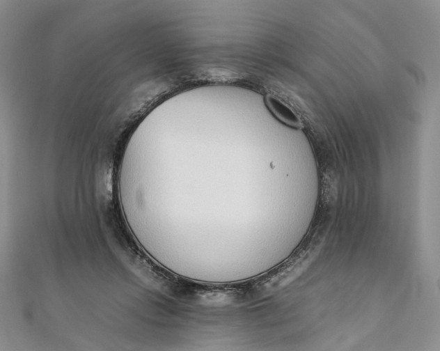 X0000111920358200908101226