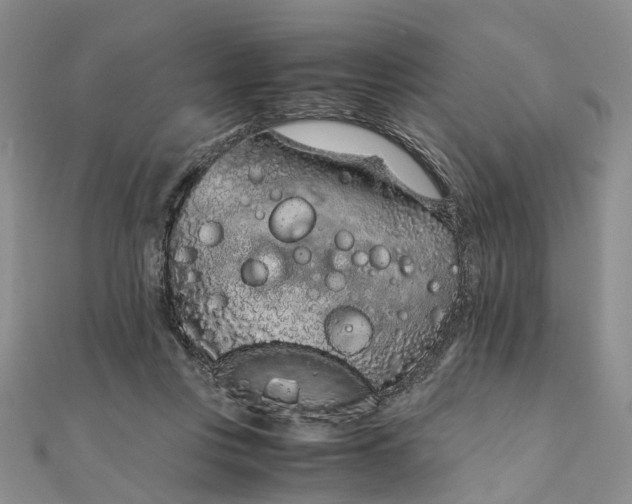 X0000111920359200908101226